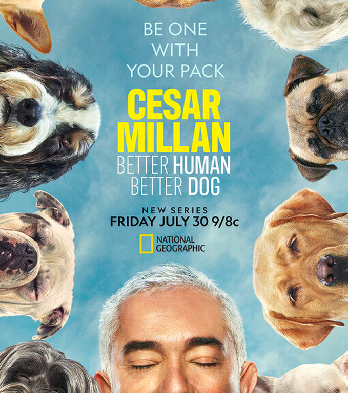 cmbhbdPoster-1